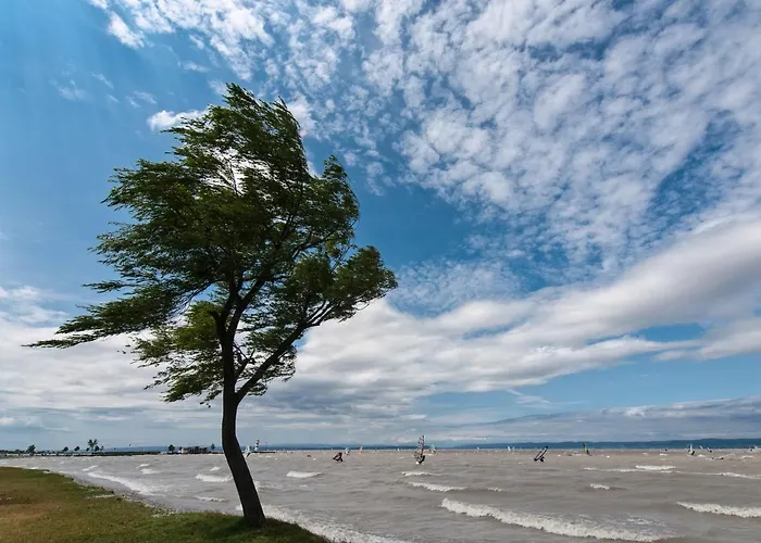 Tinyhouses Am Neusiedlersee
