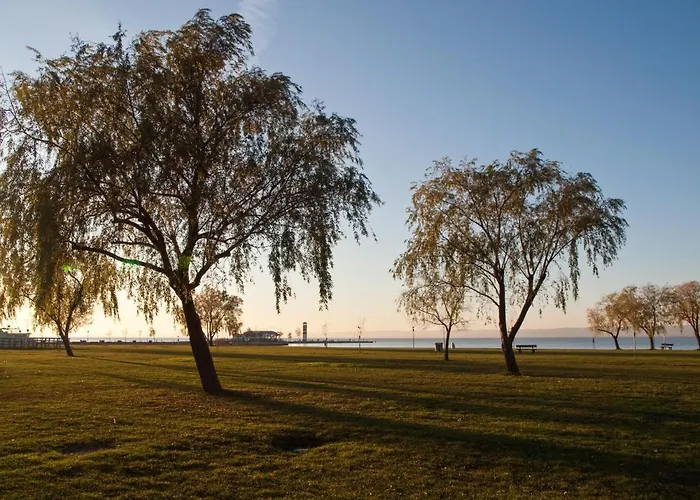 Tinyhouses Am Neusiedlersee 木屋